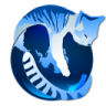 GNU Icecat : A libre fork of the Firefox browser